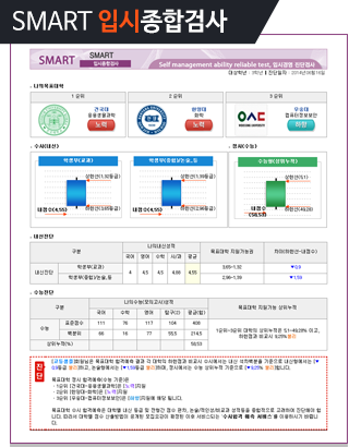 입시종합검사